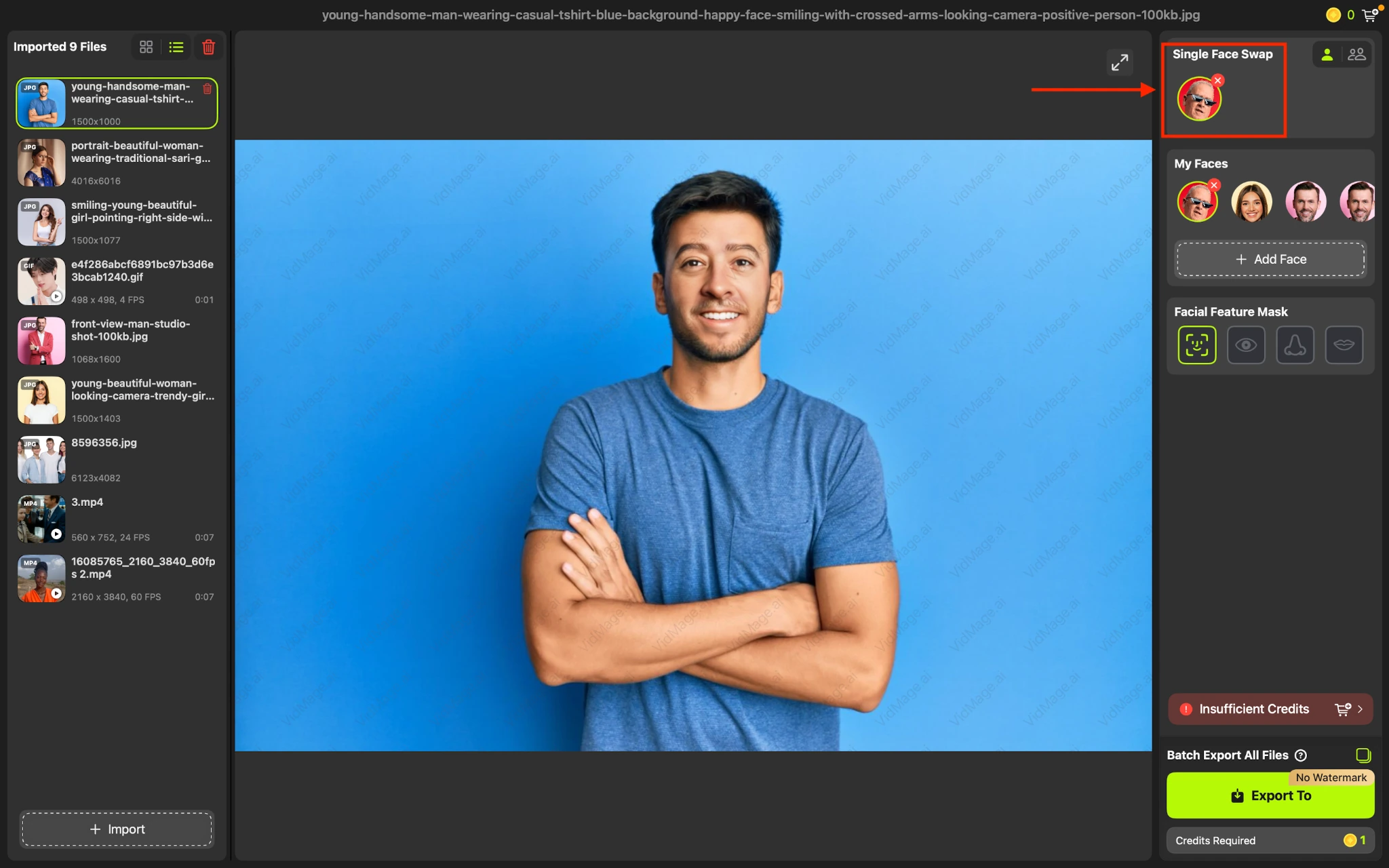 VidMage Mac add target face