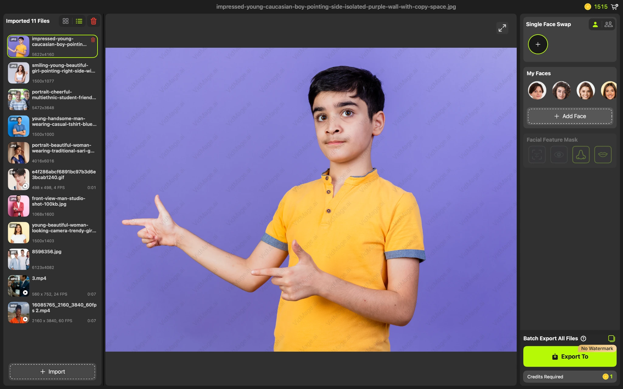 VidMage Mac upload photo