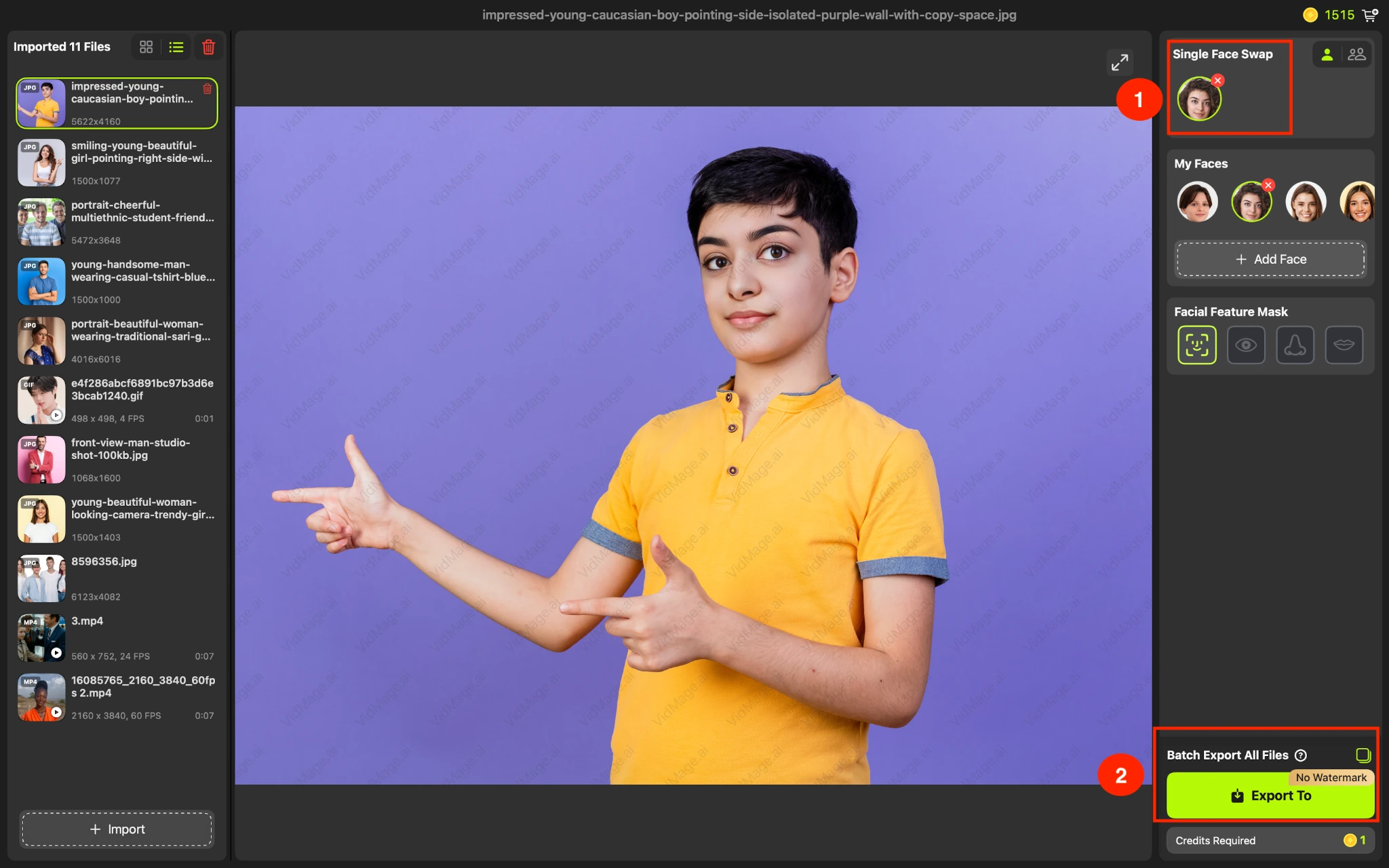 VidMage Mac download face swap