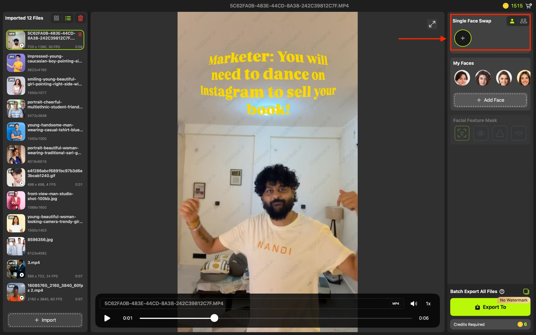 VidMage Mac choose between single and multi face swap