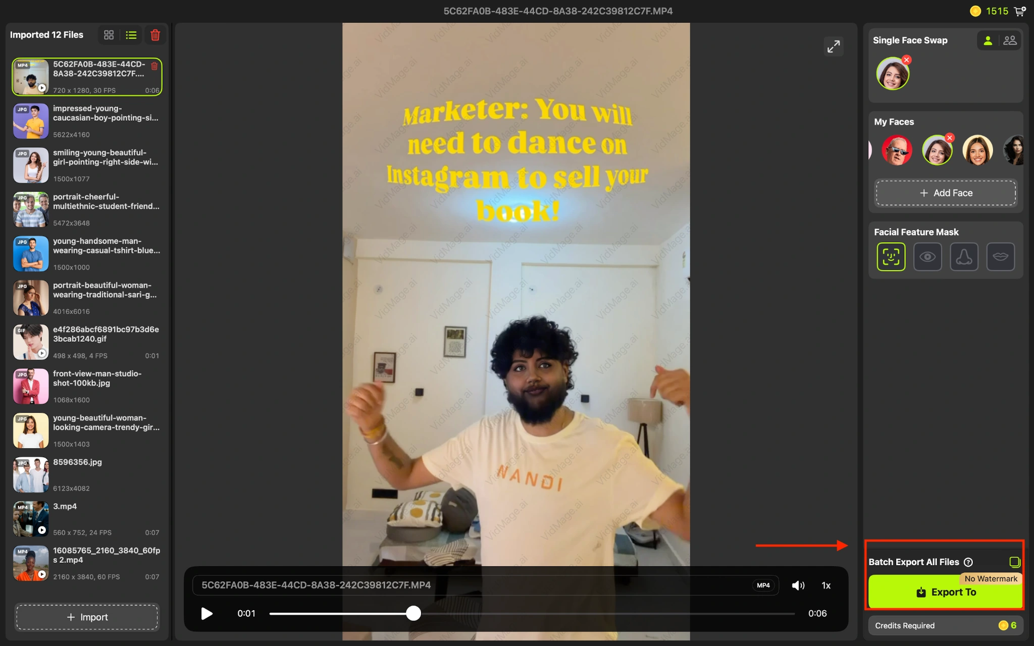 VidMage Mac download video