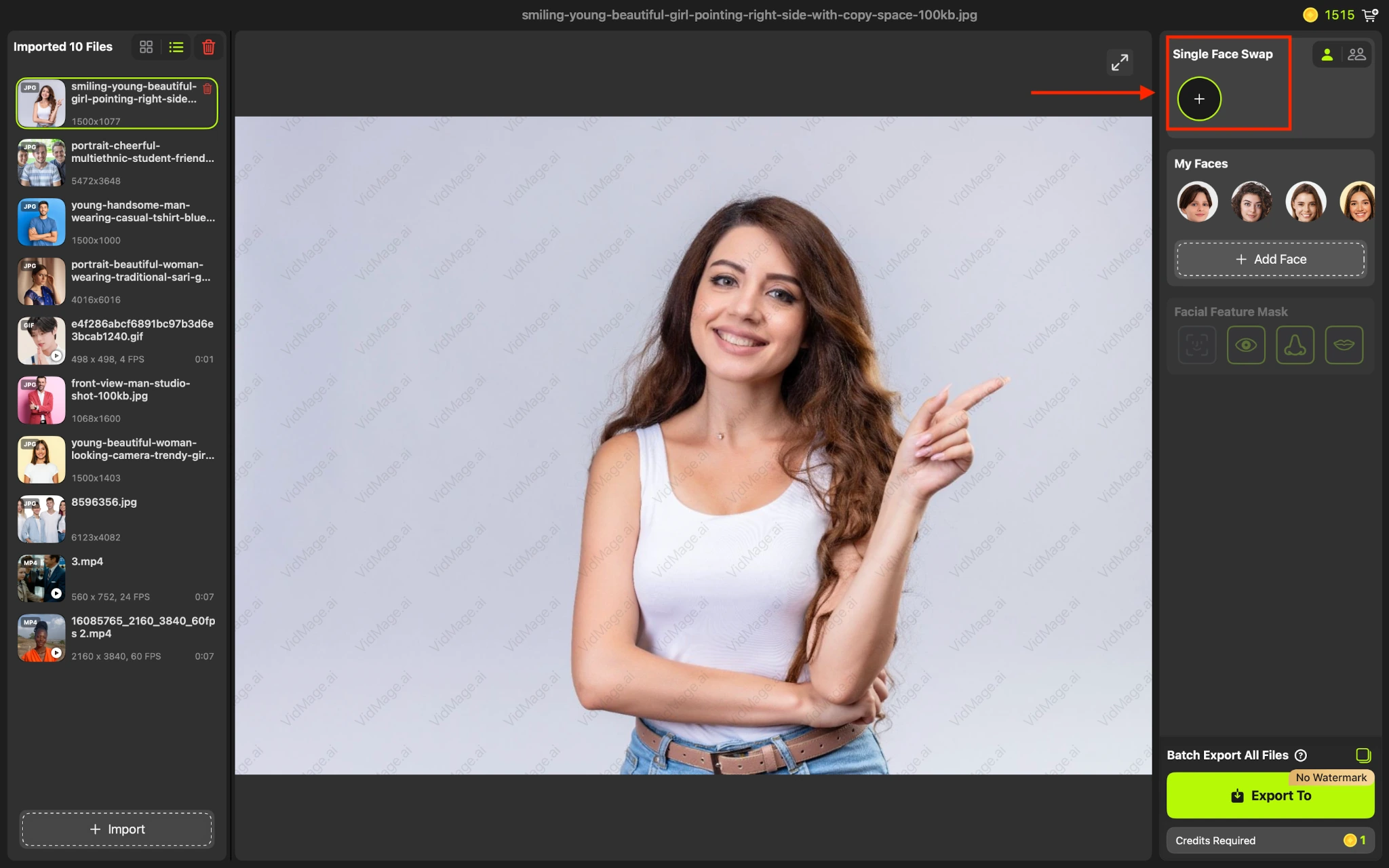 VidMage Mac app single face swap upload target photo