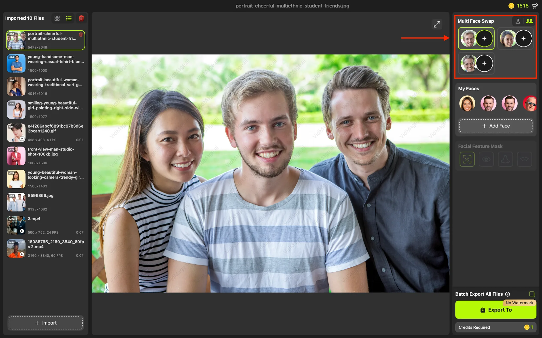 VidMage Mac app group face swap add target face