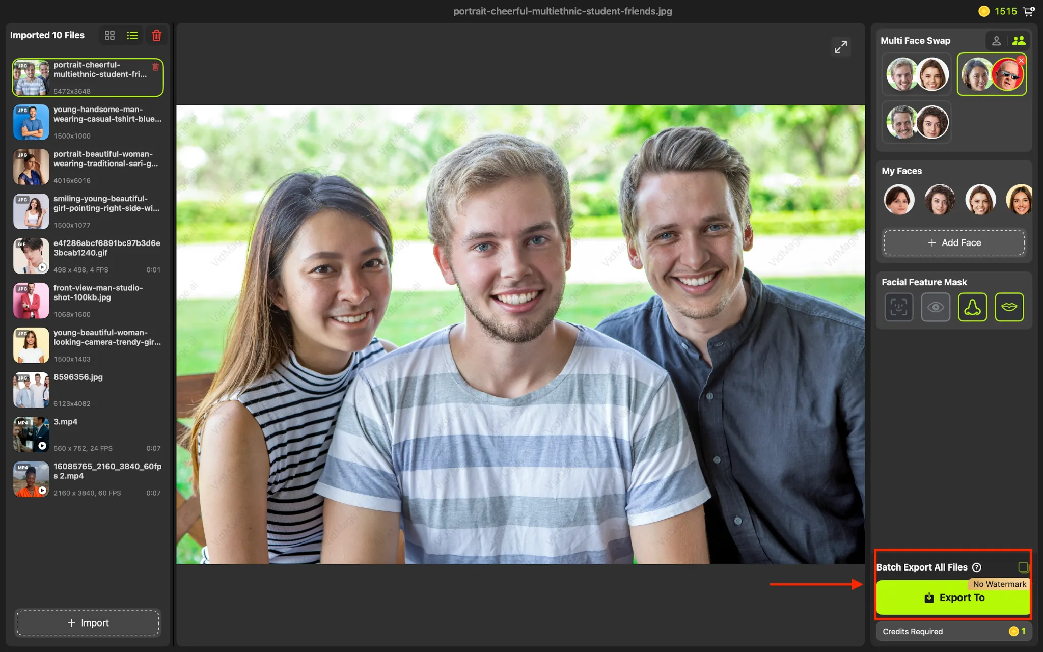 VidMage Mac app group face swap export to