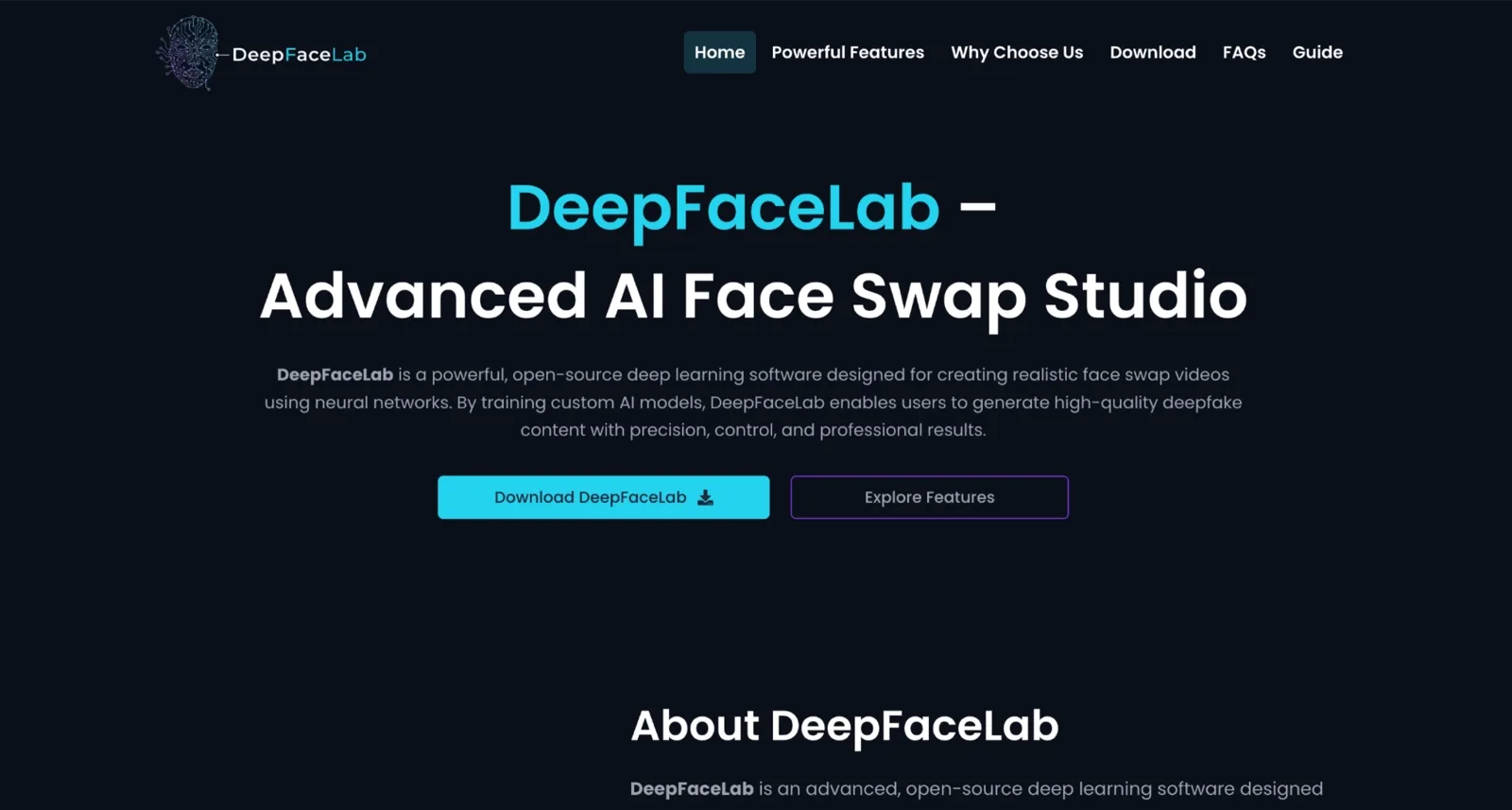 DeepFaceLab homepage