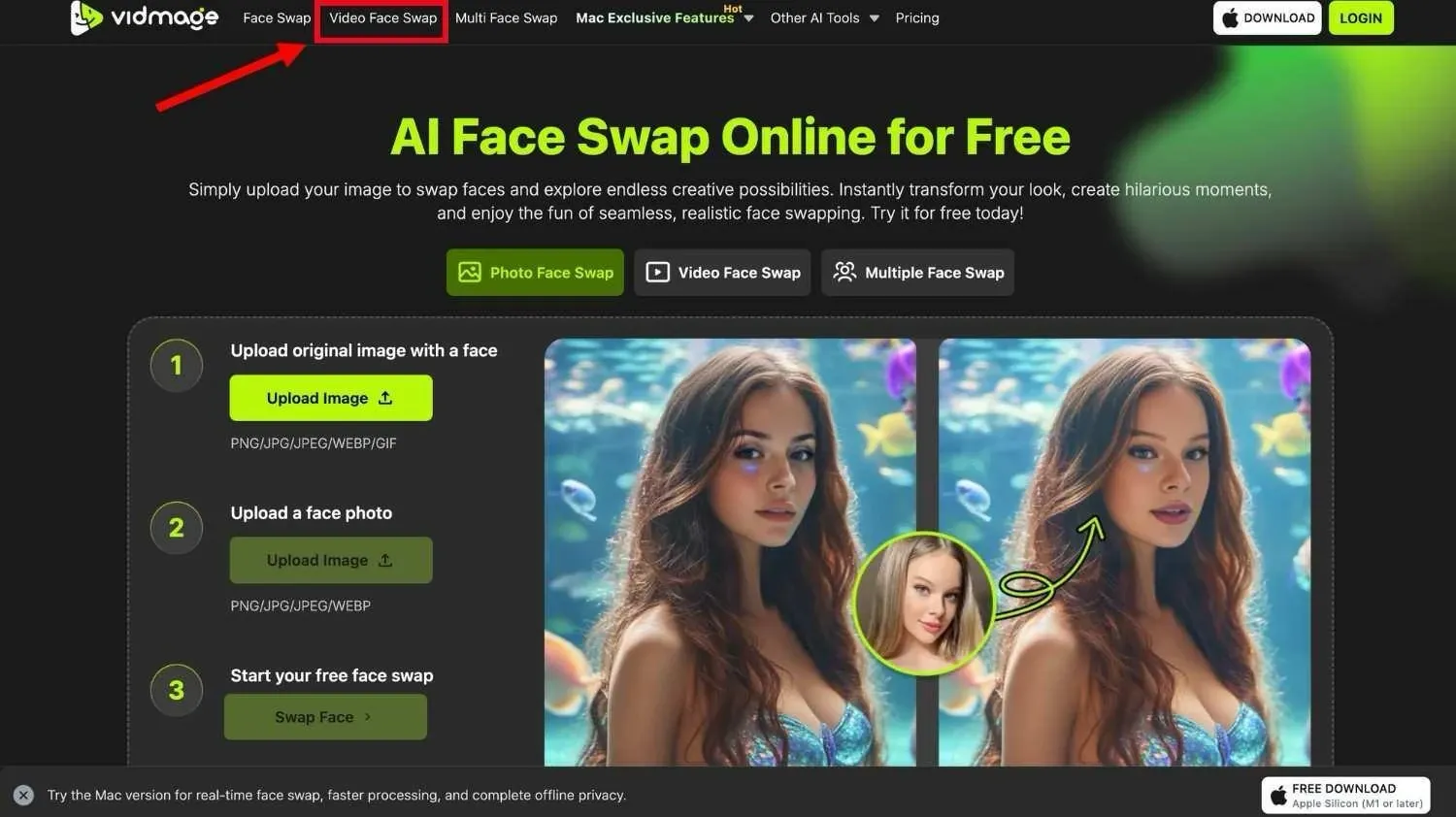 Choose the VidMage Video Face Swap option