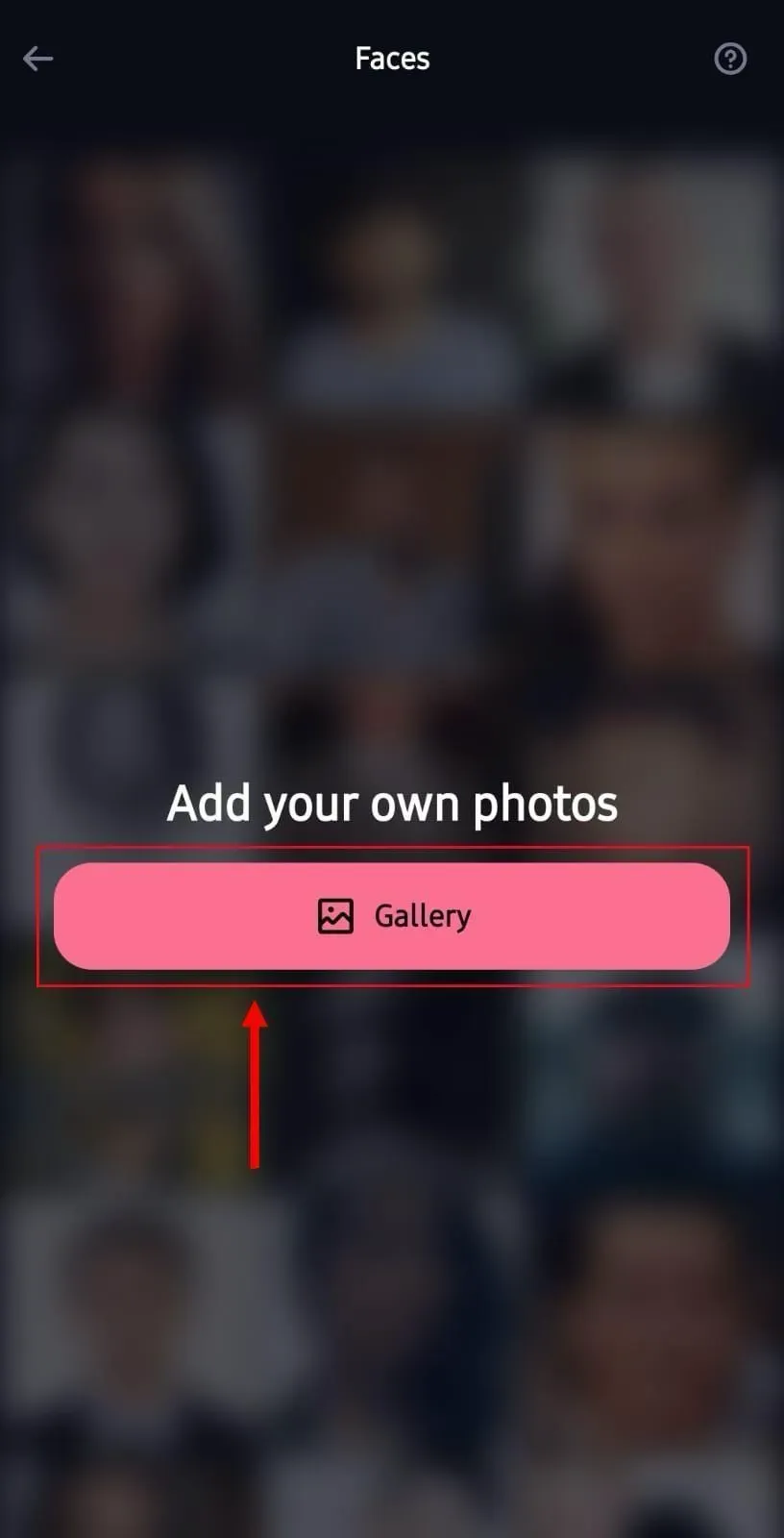 DeepFacer add photos