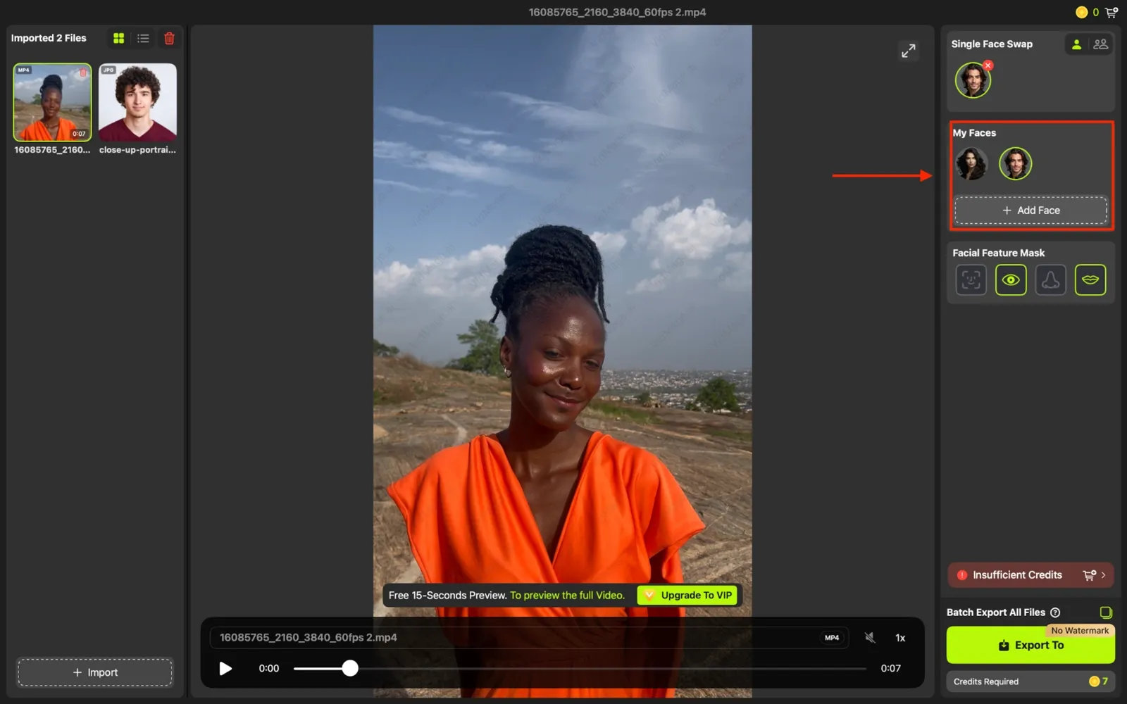VidMage desktop add face