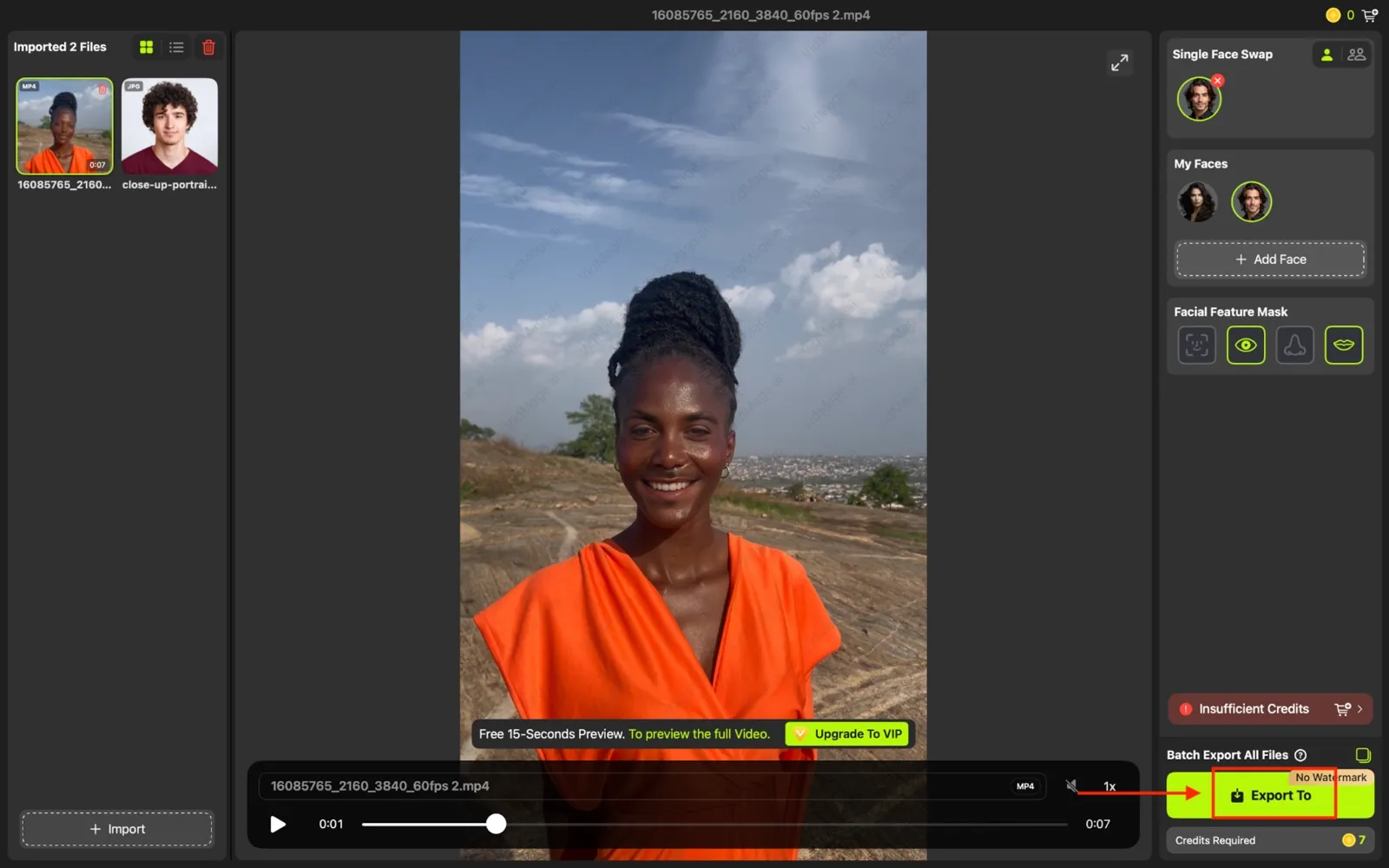VidMage export to