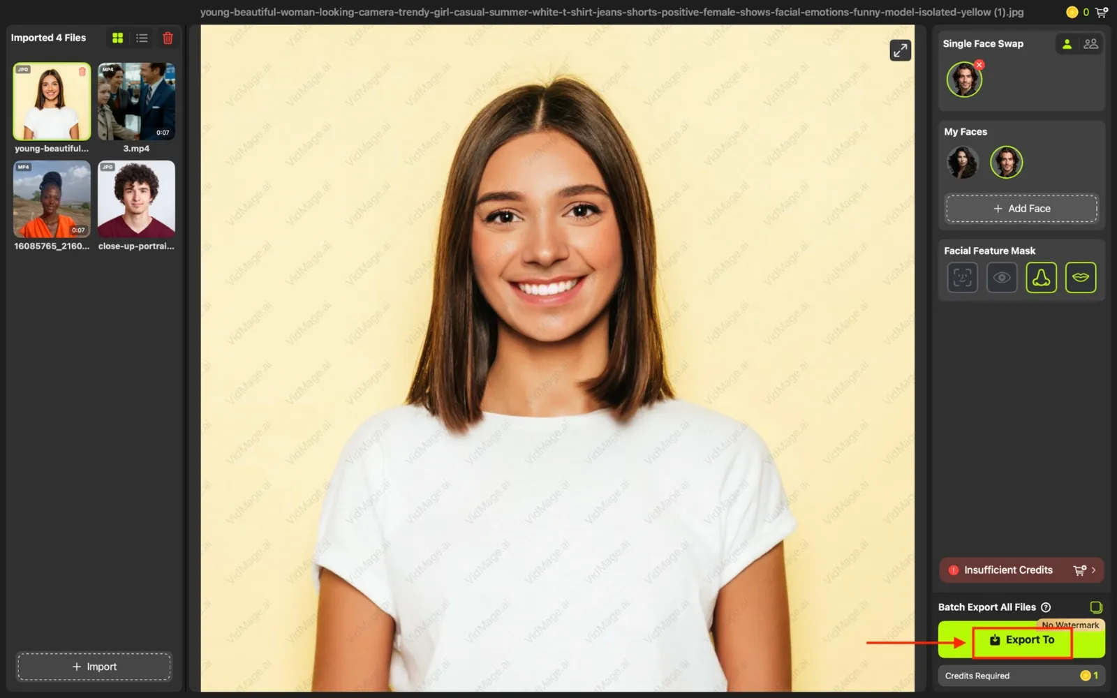 VidMage desktop export to