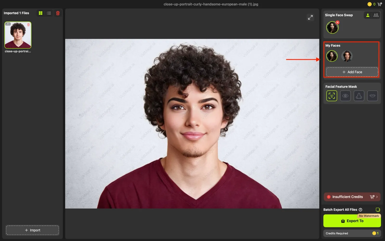 VidMage desktop app swap face