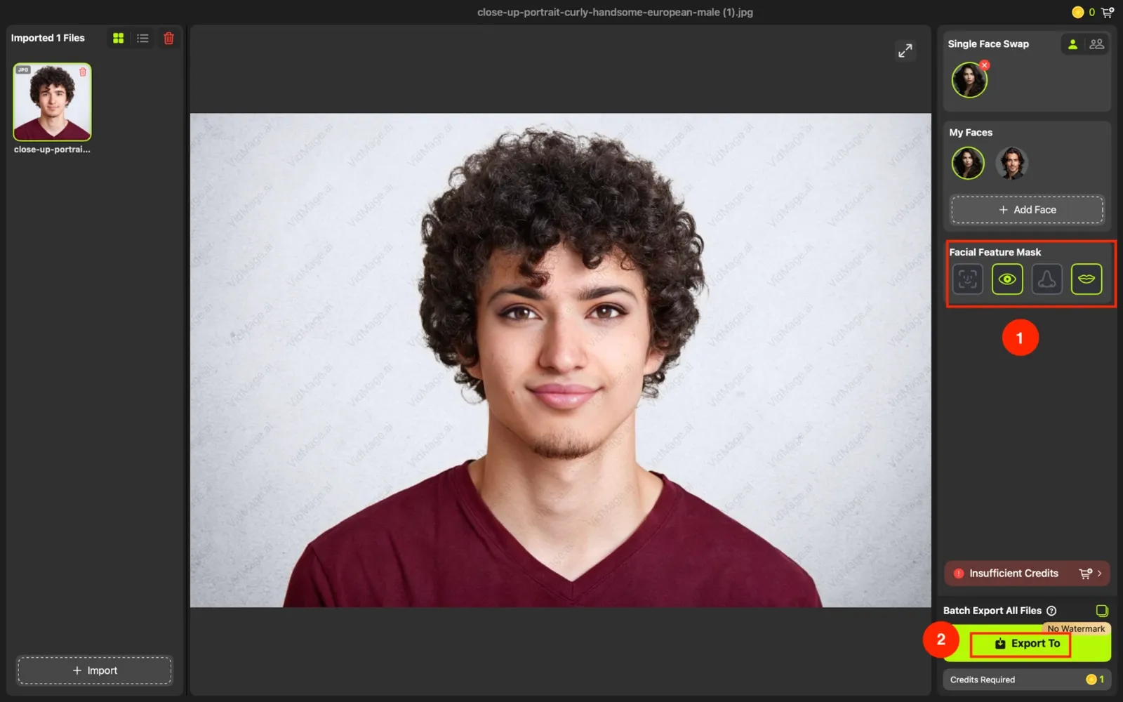 VidMage desktop app export to