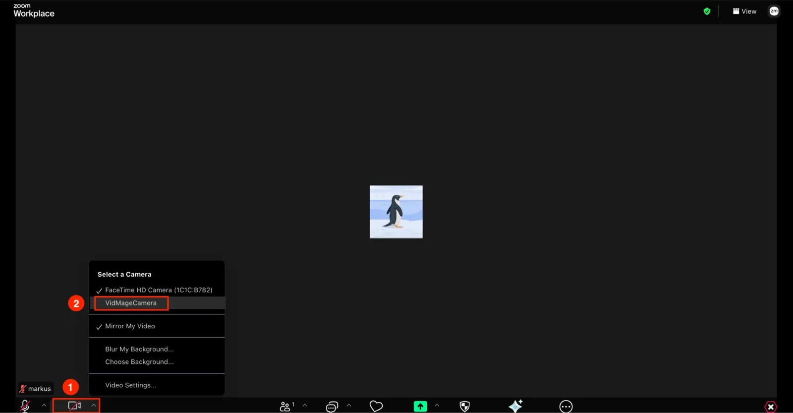 VidMage choose VidMage camera