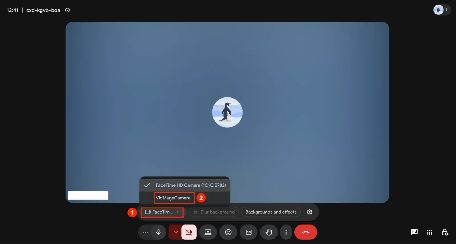 Google Meet choose VidMage camera
