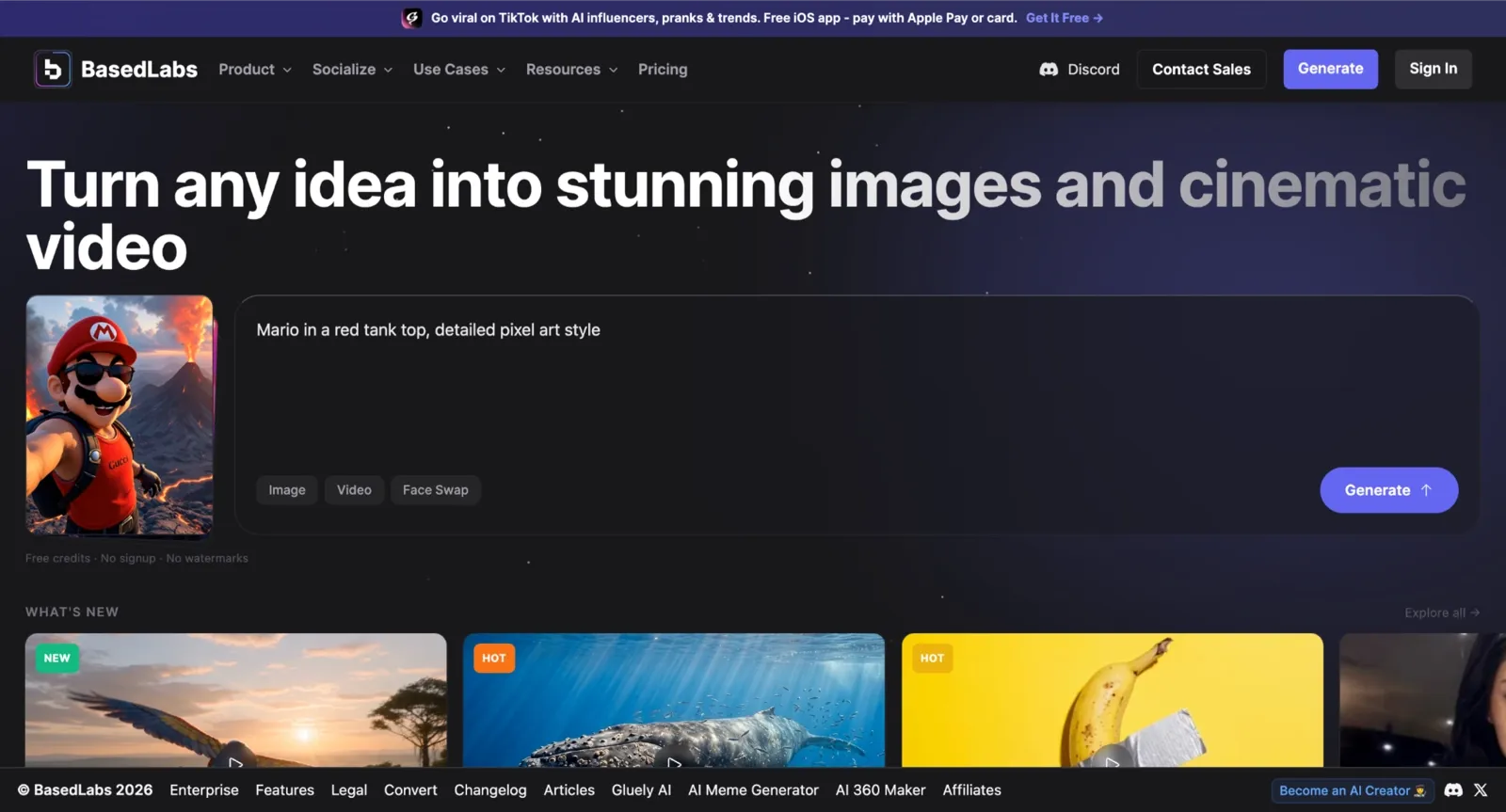 BasedLabs homepage