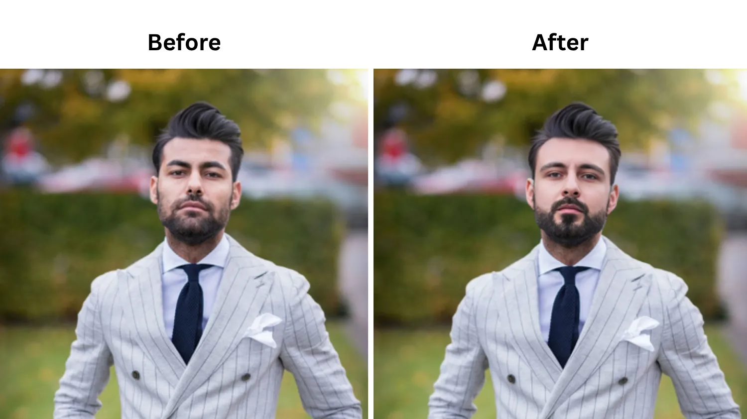 FaceSwapper before and after results