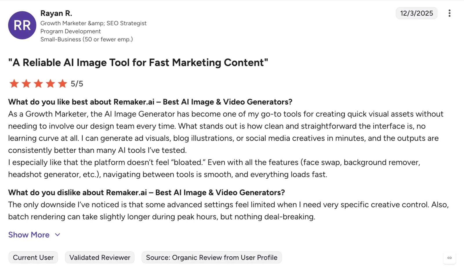 Remaker AI Face Swap G2 positive review