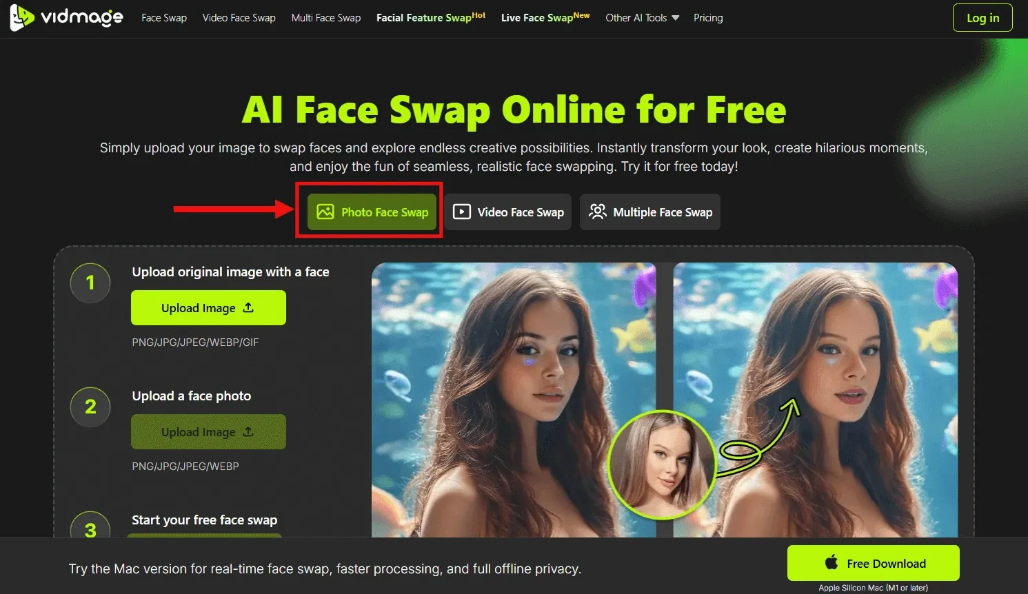 VidMage AI photos face swap feature
