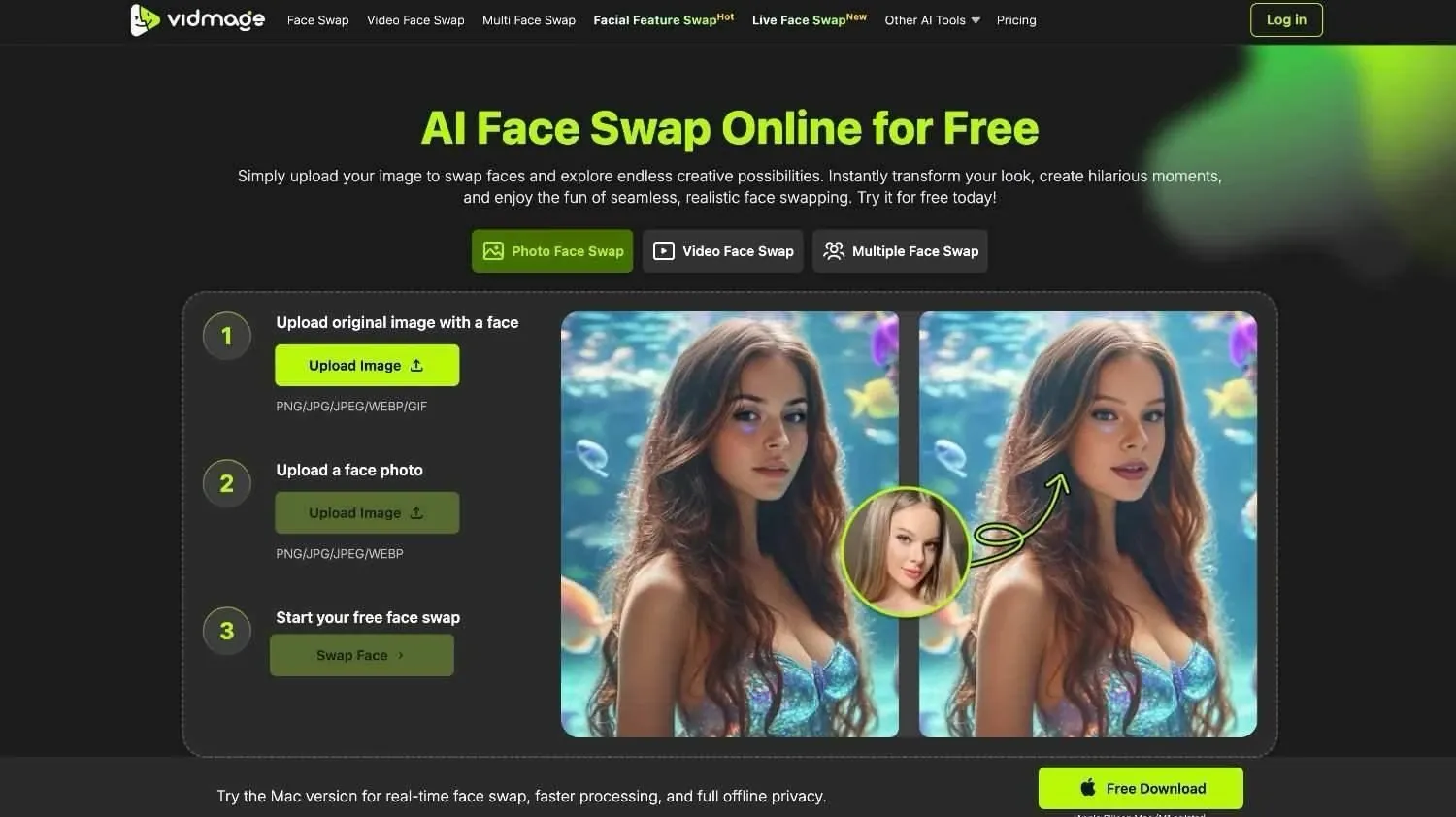 VidMage AKOOL Face Swap alternative