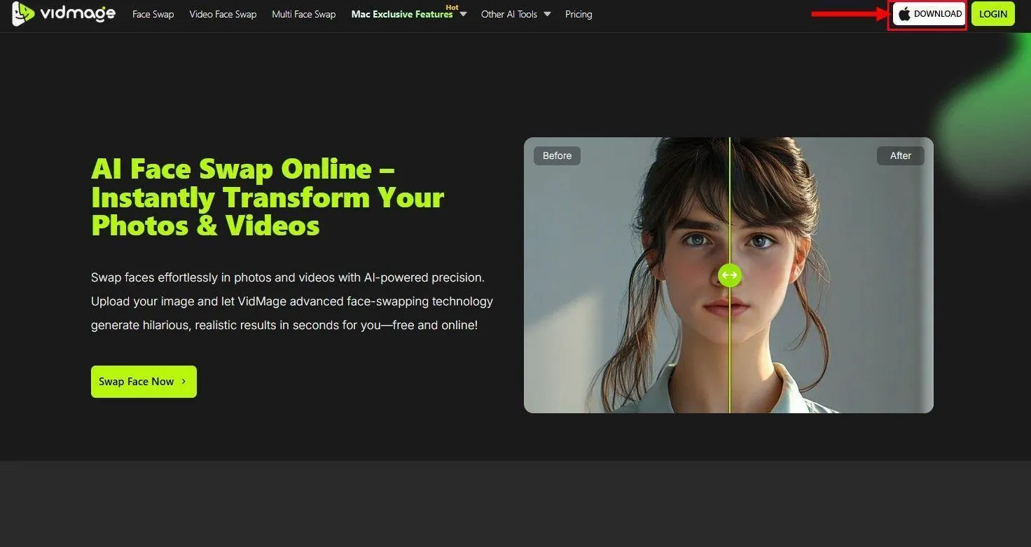 VidMage Mac app download and install