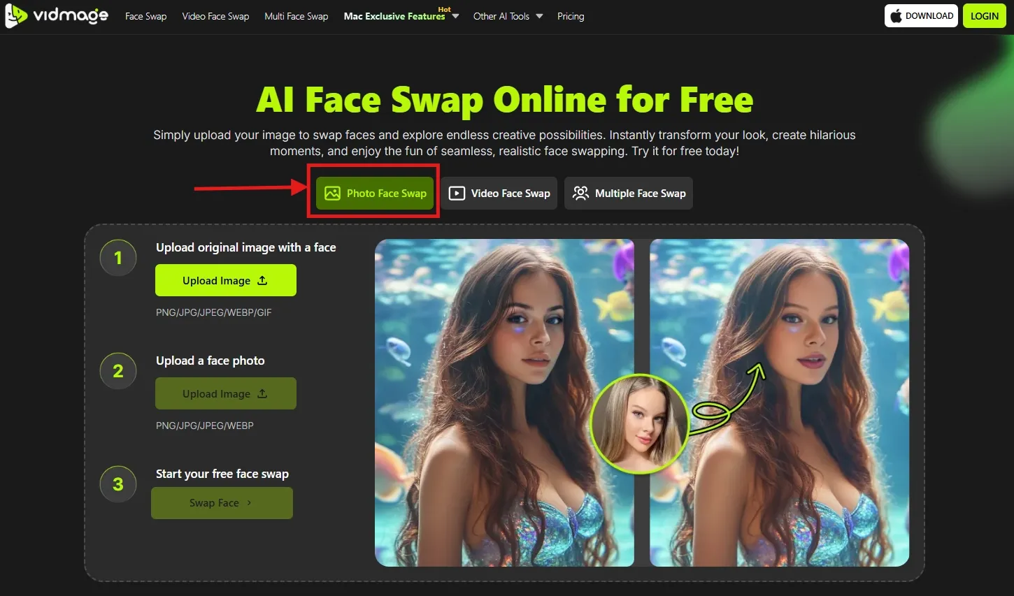 VidMage photo face swap